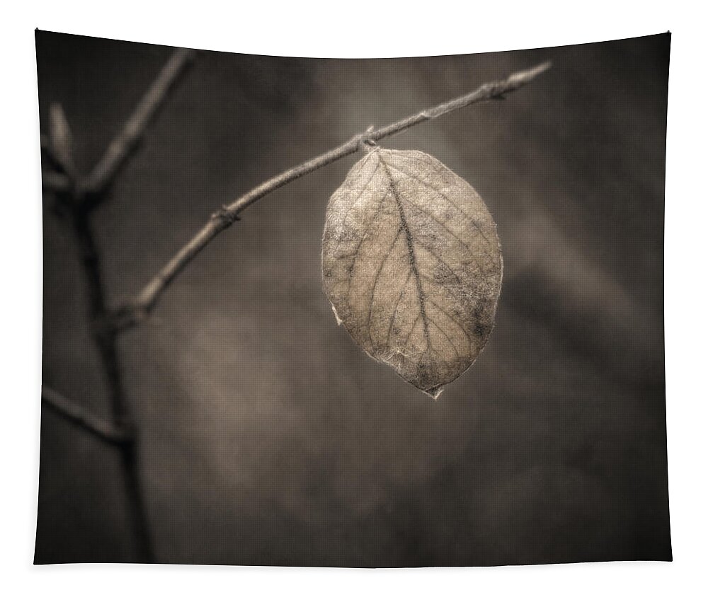 Scott Norris Photography Tapestry featuring the photograph Holding On by Scott Norris
