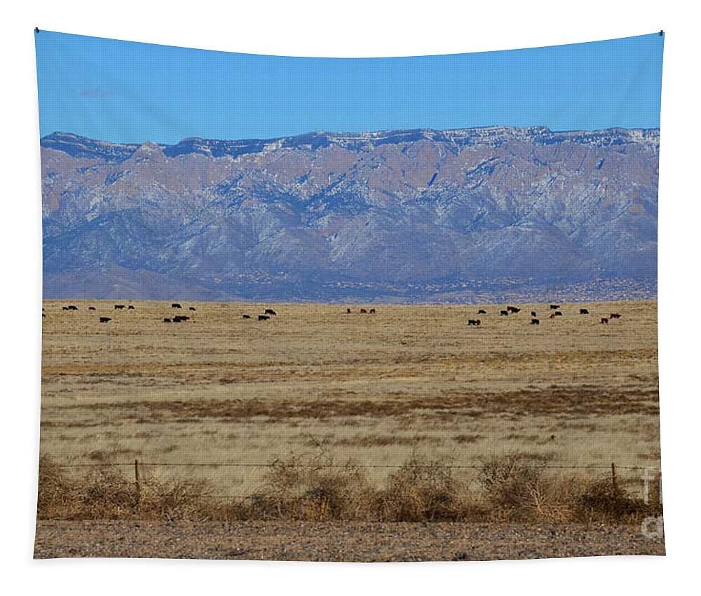 Southwest Landscape Tapestry featuring the photograph Home on the range by Robert WK Clark