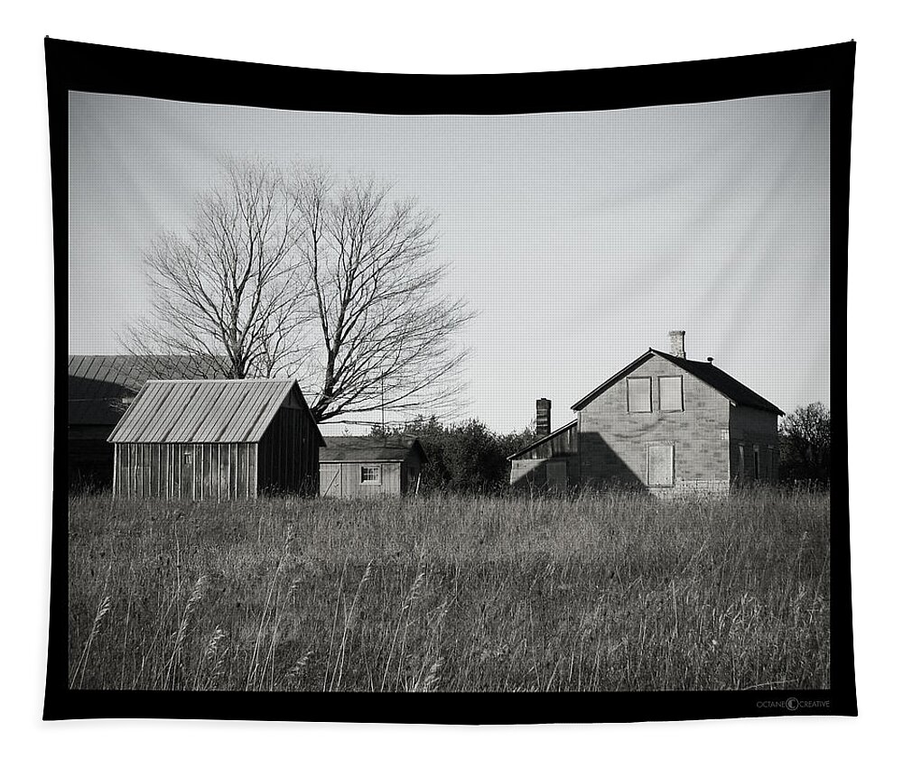 Deserted Tapestry featuring the photograph Homestead by Tim Nyberg