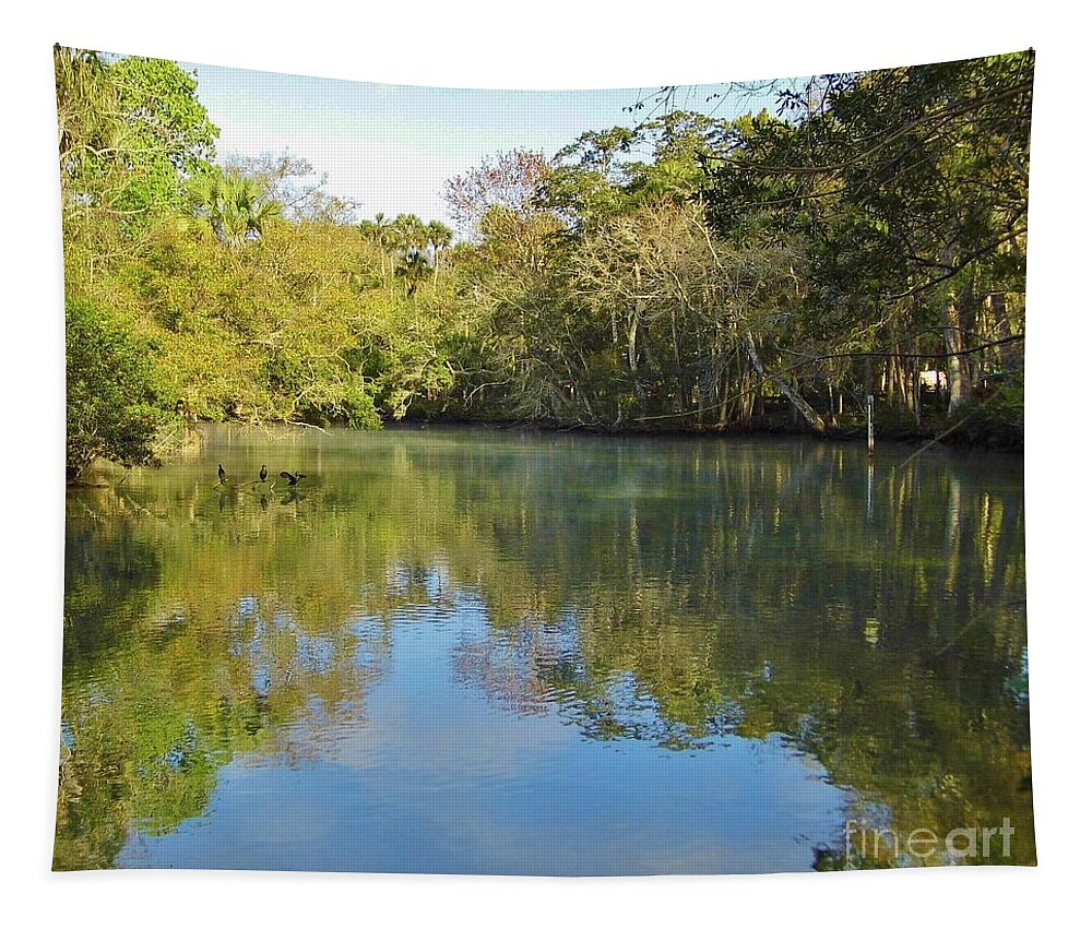 River Tapestry featuring the photograph Homosassa River by D Hackett