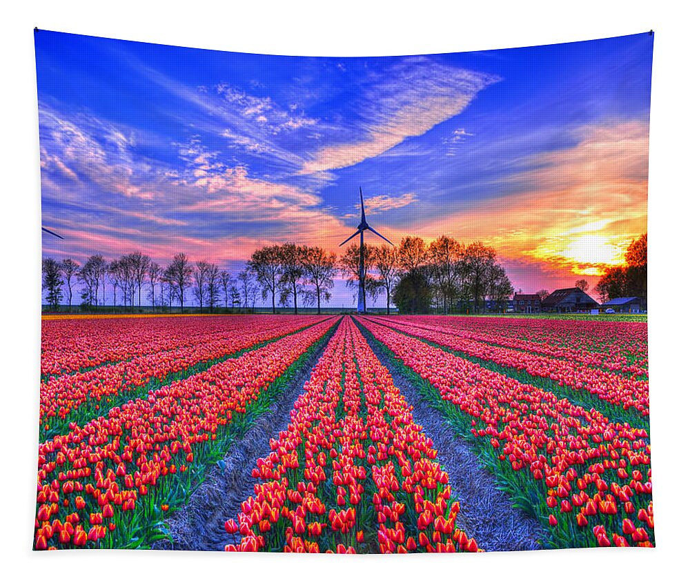 Windmill Tapestry featuring the photograph Hope of Spring by Midori Chan