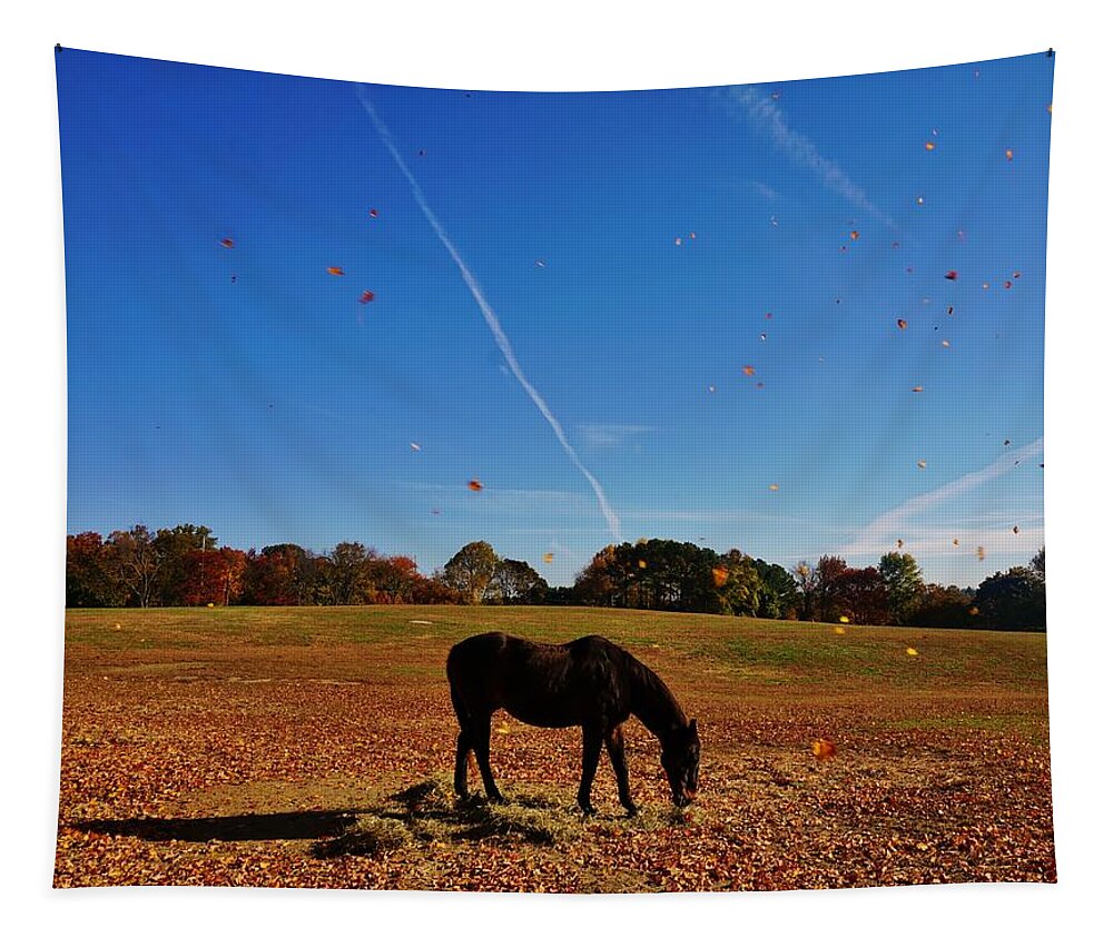 Horse Tapestry featuring the photograph Horse Farm in the Fall by Ed Sweeney