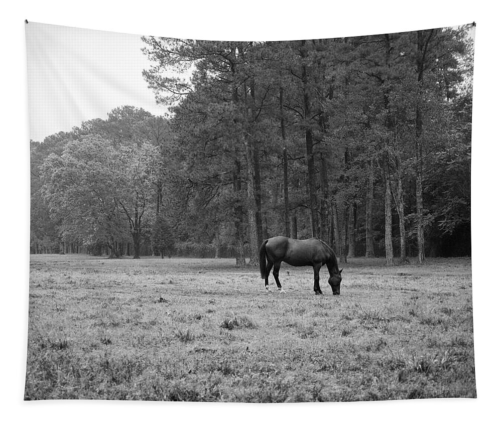 Horse Tapestry featuring the photograph Horse in Pasture by Lara Morrison