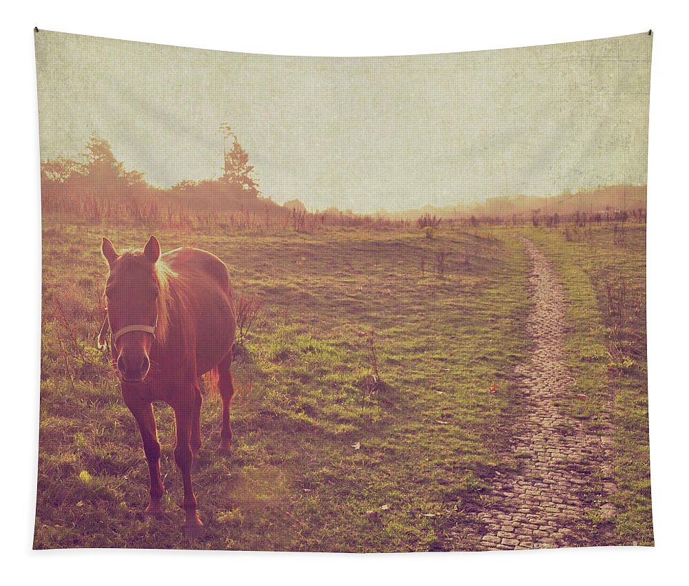 Horse Tapestry featuring the photograph Horse by Lyn Randle