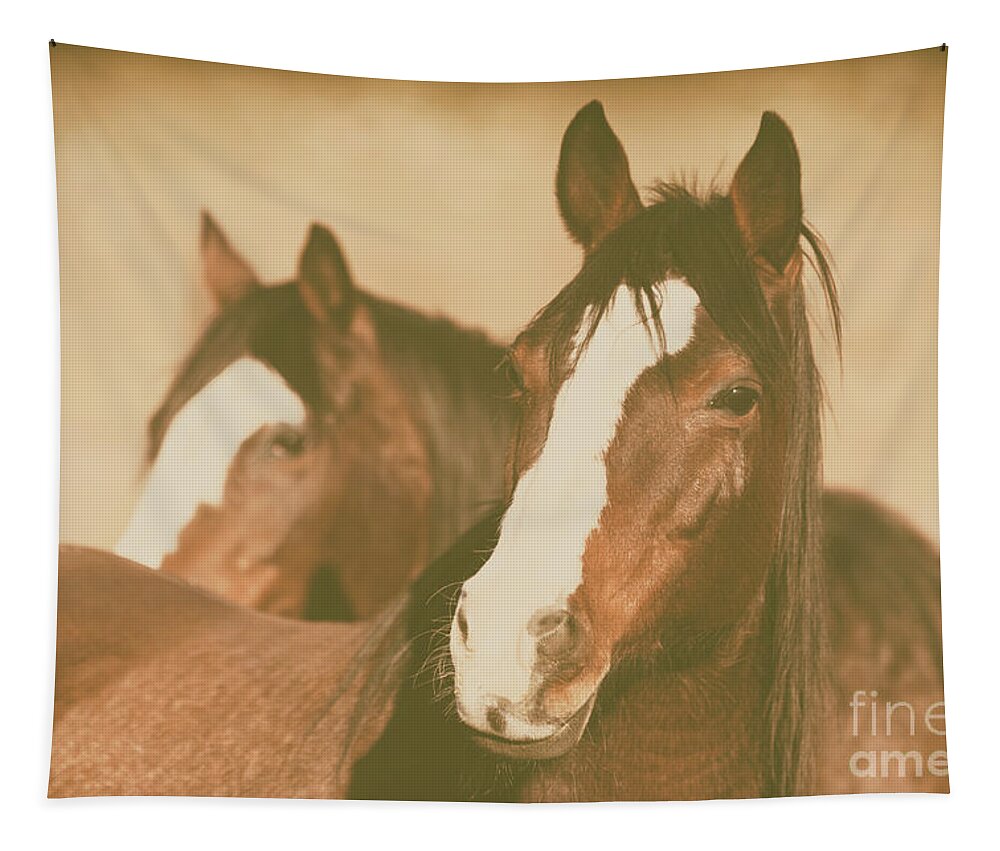 Horses Tapestry featuring the photograph Horse Portrait by Ana V Ramirez