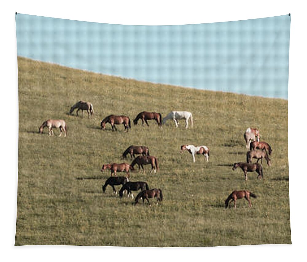 Horses Tapestry featuring the photograph Horses On The Hill by D K Wall