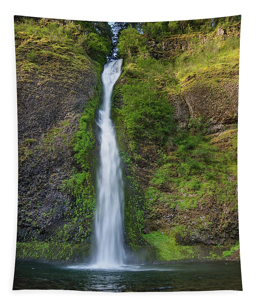 Horsetail Falls Tapestry featuring the photograph Horsetail Falls in Spring by Greg Nyquist