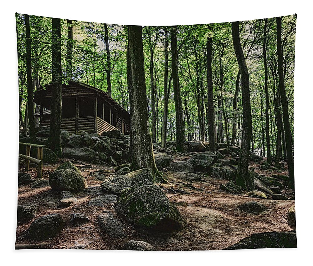 Photography Tapestry featuring the photograph House in the Forest by Marc Braner