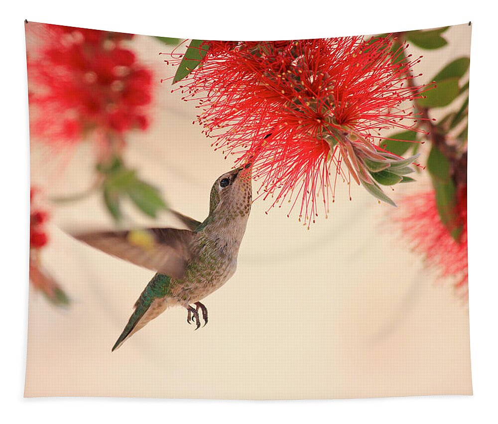 Hummingbird Tapestry featuring the photograph Hovering Hummingbird by Penny Meyers