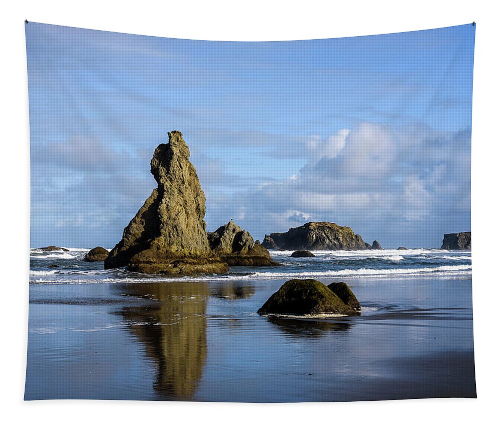 Bandon Tapestry featuring the photograph Howling Dog by Robert Potts