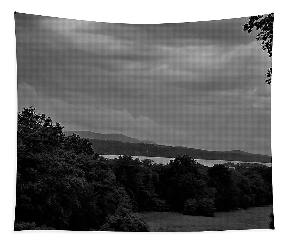 The Great Frame Up Tapestry featuring the photograph Hudson River At Hyde Park1 B W by Rob Hans
