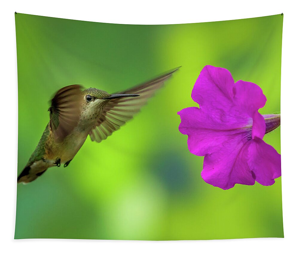 Hummingbird Tapestry featuring the photograph Hummingbird and Flower by Allin Sorenson
