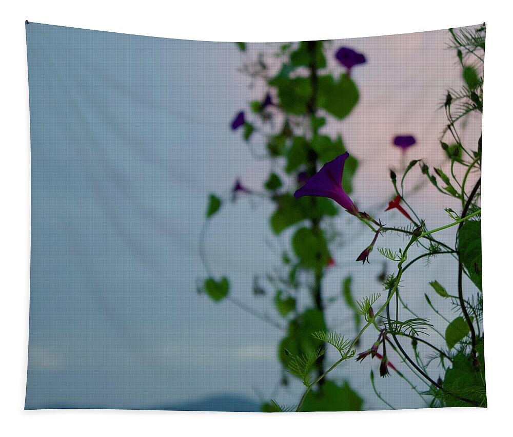 Photograph Tapestry featuring the photograph Hummingbird Feeding Ground on the Blue Ridge by M E