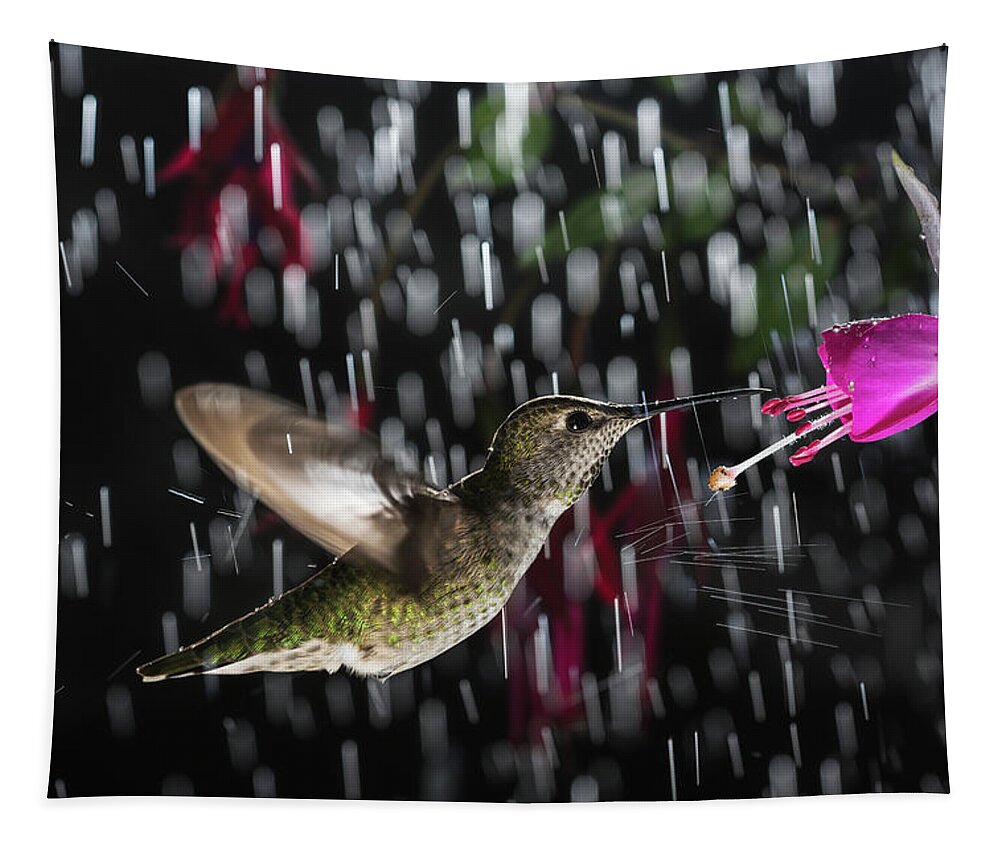 Action Tapestry featuring the photograph Hummingbird hovering in rain with splash by William Lee