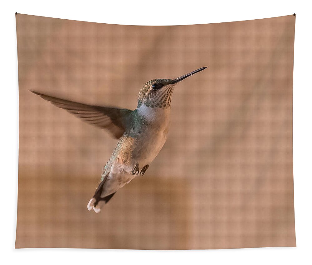 Hummingbird Tapestry featuring the photograph Hummingbird In Flight by Holden The Moment