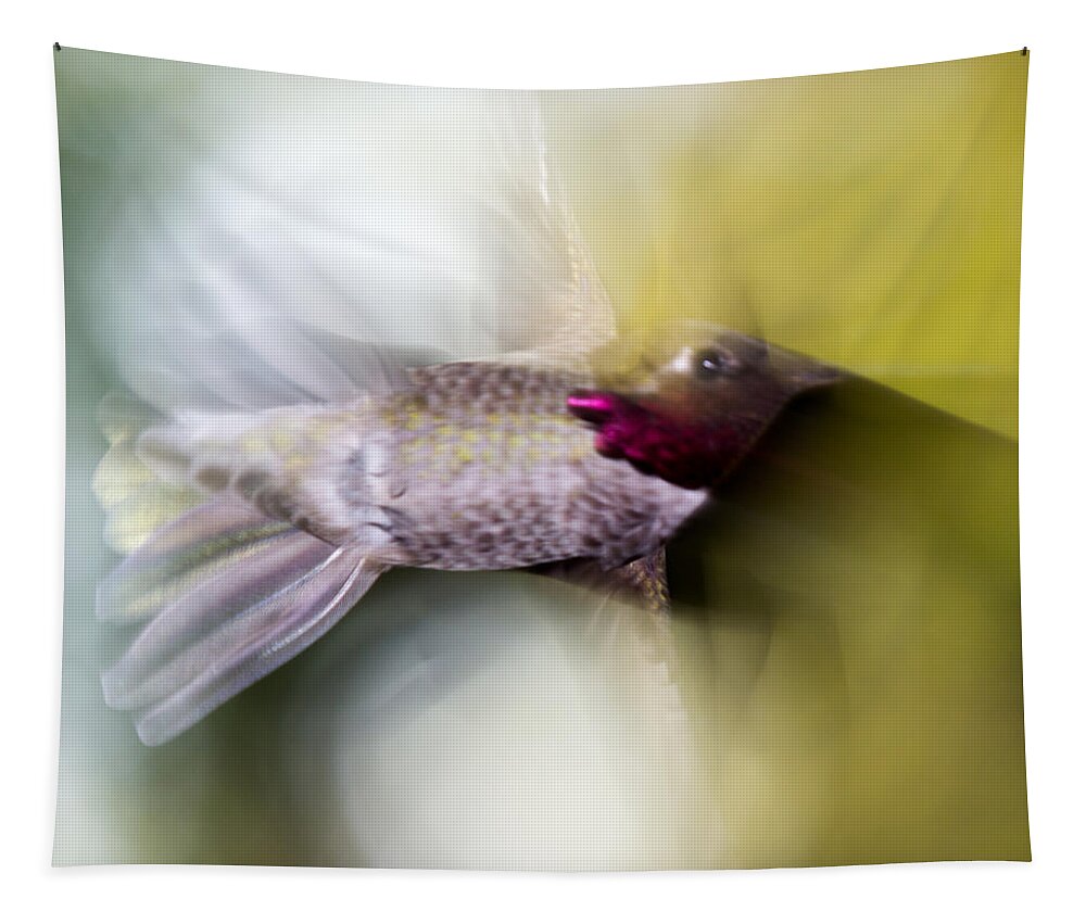 Hummingbird Tapestry featuring the photograph Hummingbird in flight by Shawn Jeffries