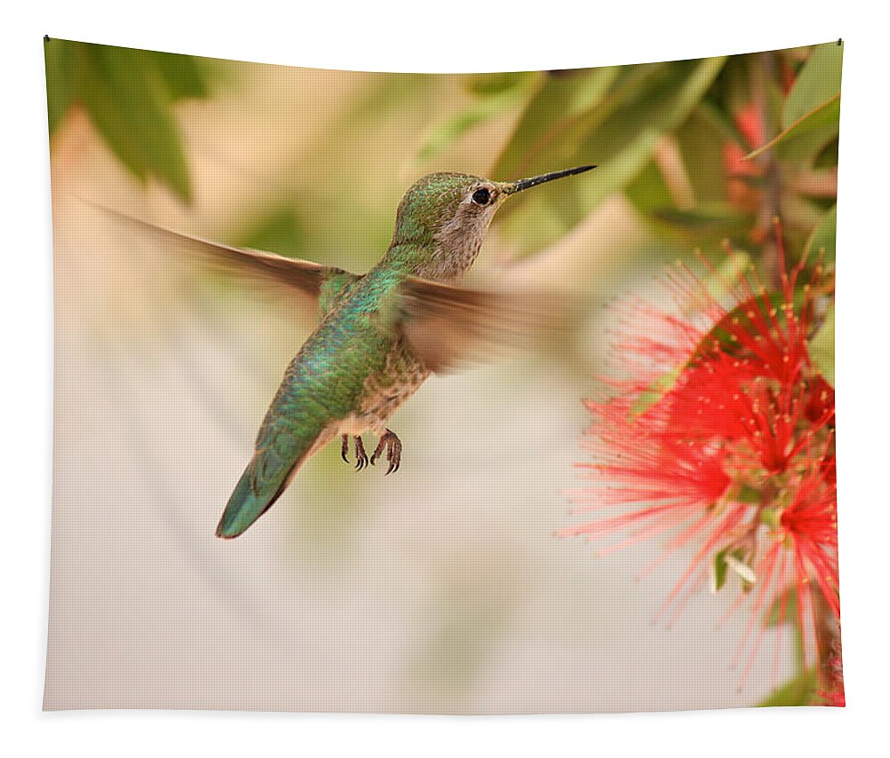 Hummingbird Tapestry featuring the photograph Hummingbird in Paradise by Penny Meyers