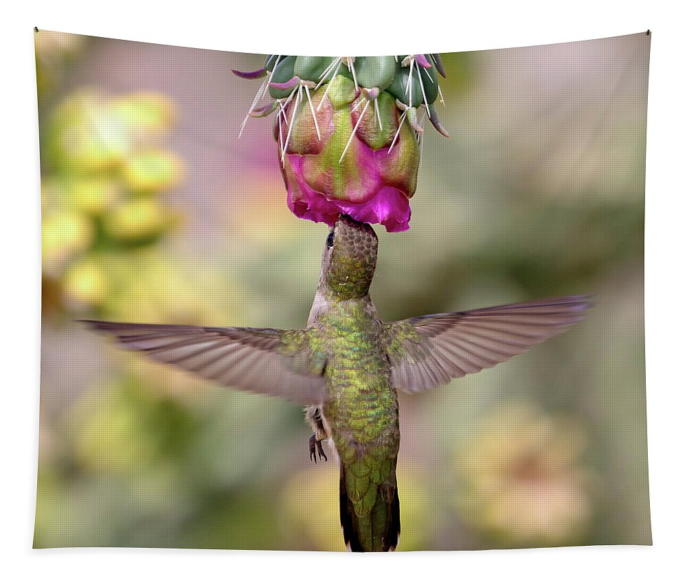 Hummingbird Tapestry featuring the photograph Hummingbird on Cholla Cactus by Mindy Musick King