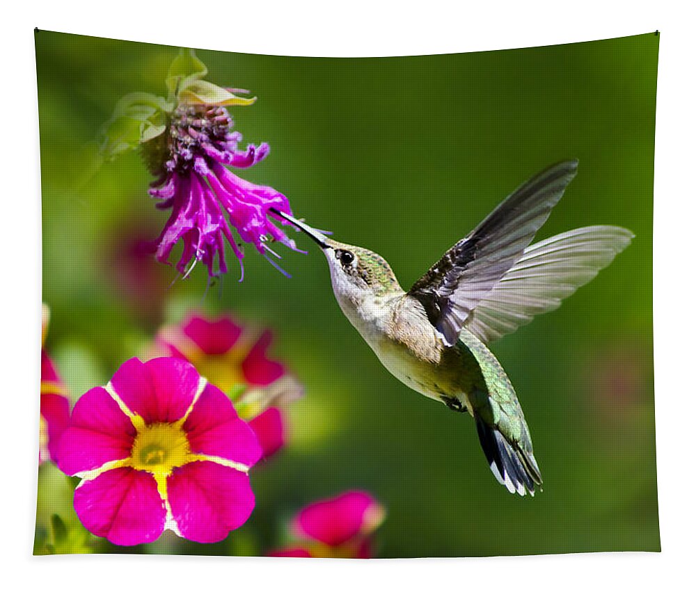 Hummingbird Tapestry featuring the photograph Hummingbird with Flower by Christina Rollo
