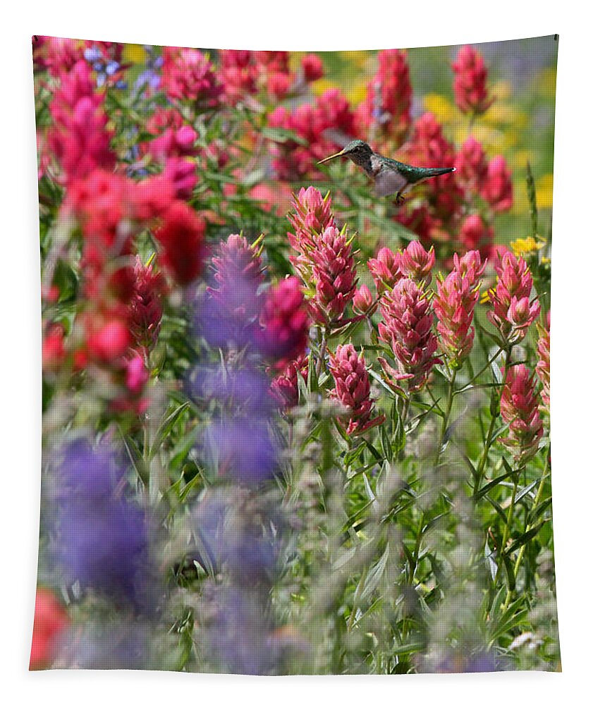 Wildflower Tapestry featuring the photograph Hummingbird with Wildflowers by Brett Pelletier