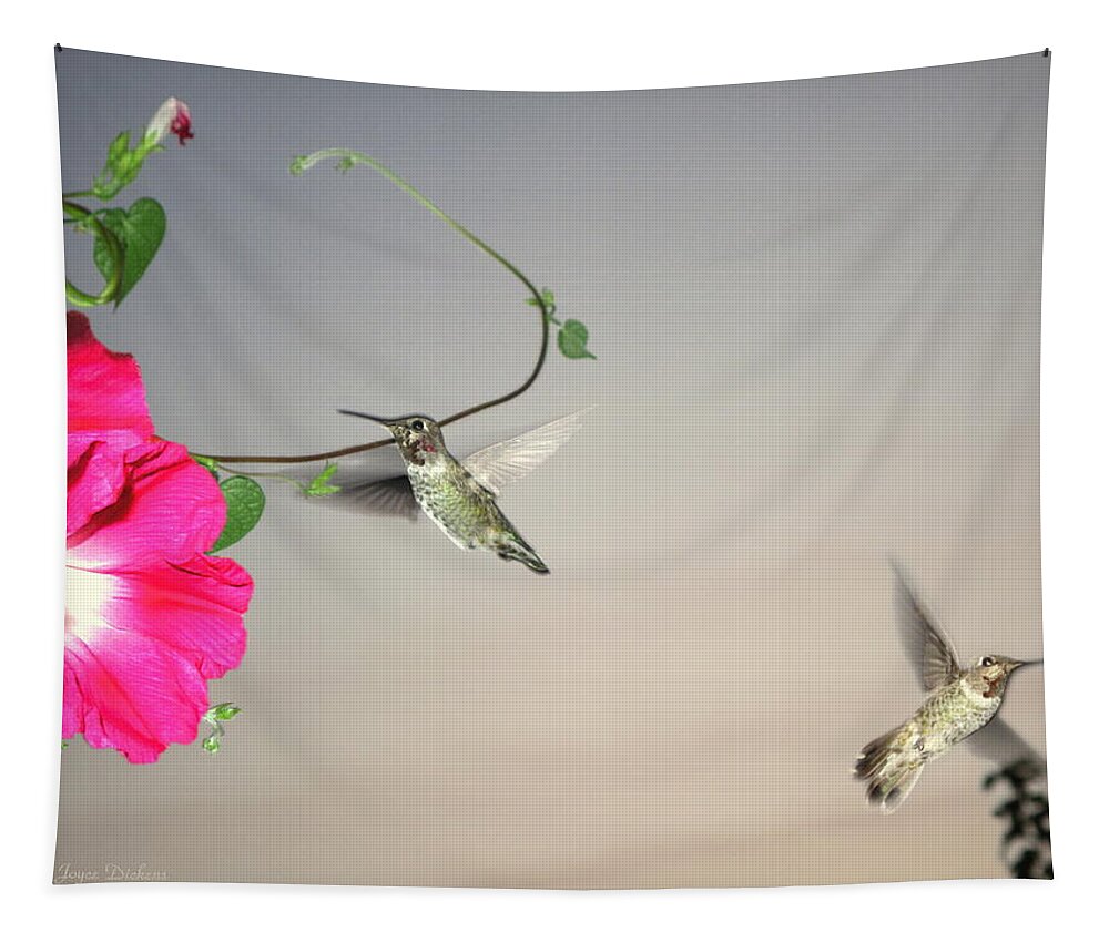 Birds Tapestry featuring the photograph Hummingbirds Coming and Going by Joyce Dickens