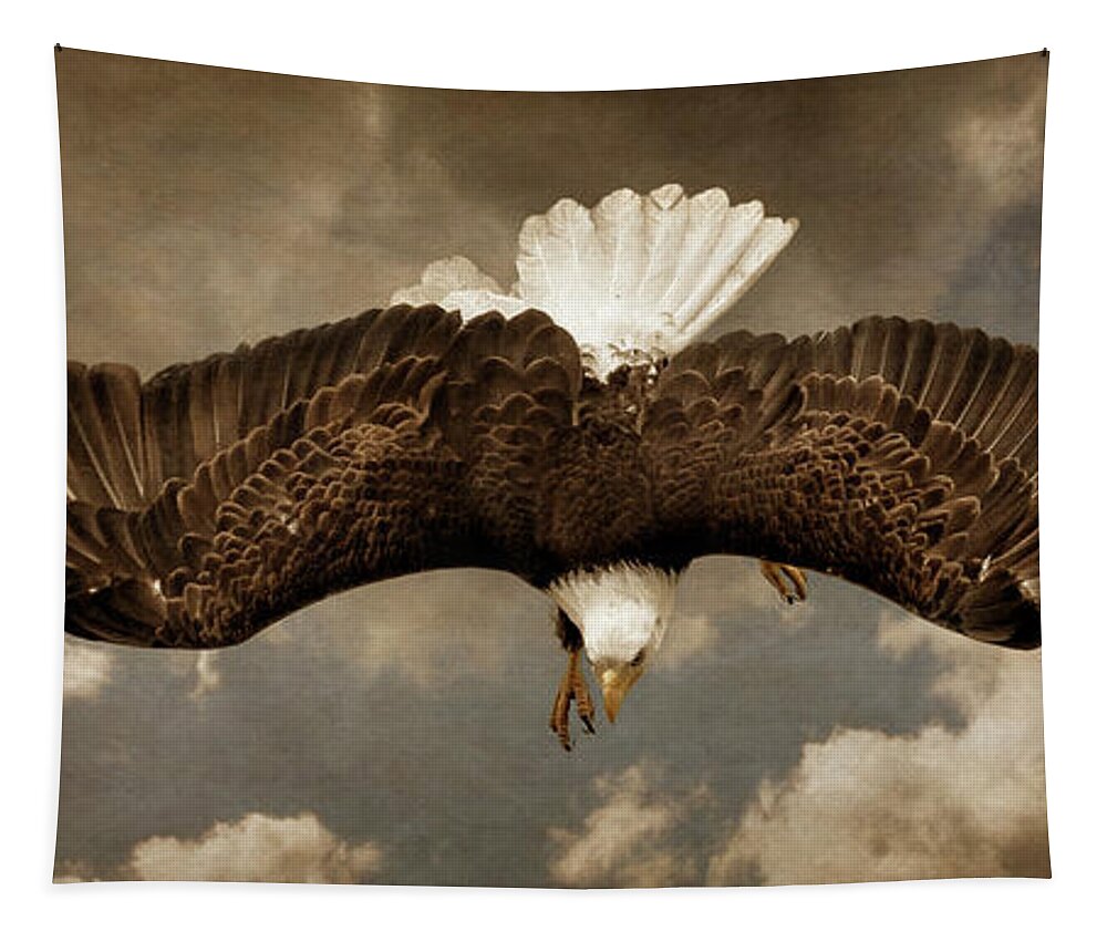 Hunting Bald Eagle Tapestry featuring the photograph Hunting Bald Eagle by Wes and Dotty Weber