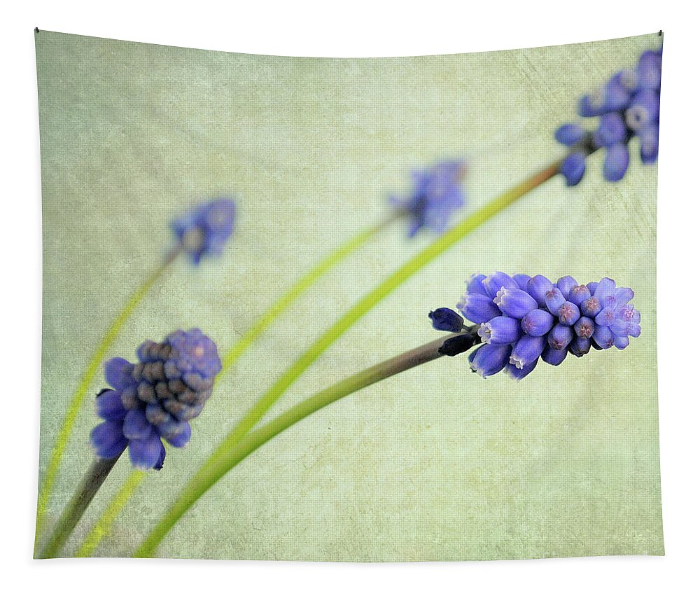 Hyacinth Tapestry featuring the photograph Hyacinth Grape by Lyn Randle