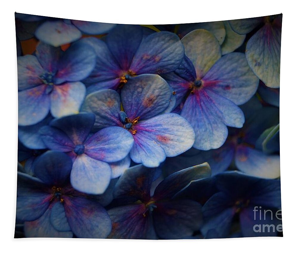 Hortensia Tapestry featuring the photograph Hydrangea by Cassandra Buckley