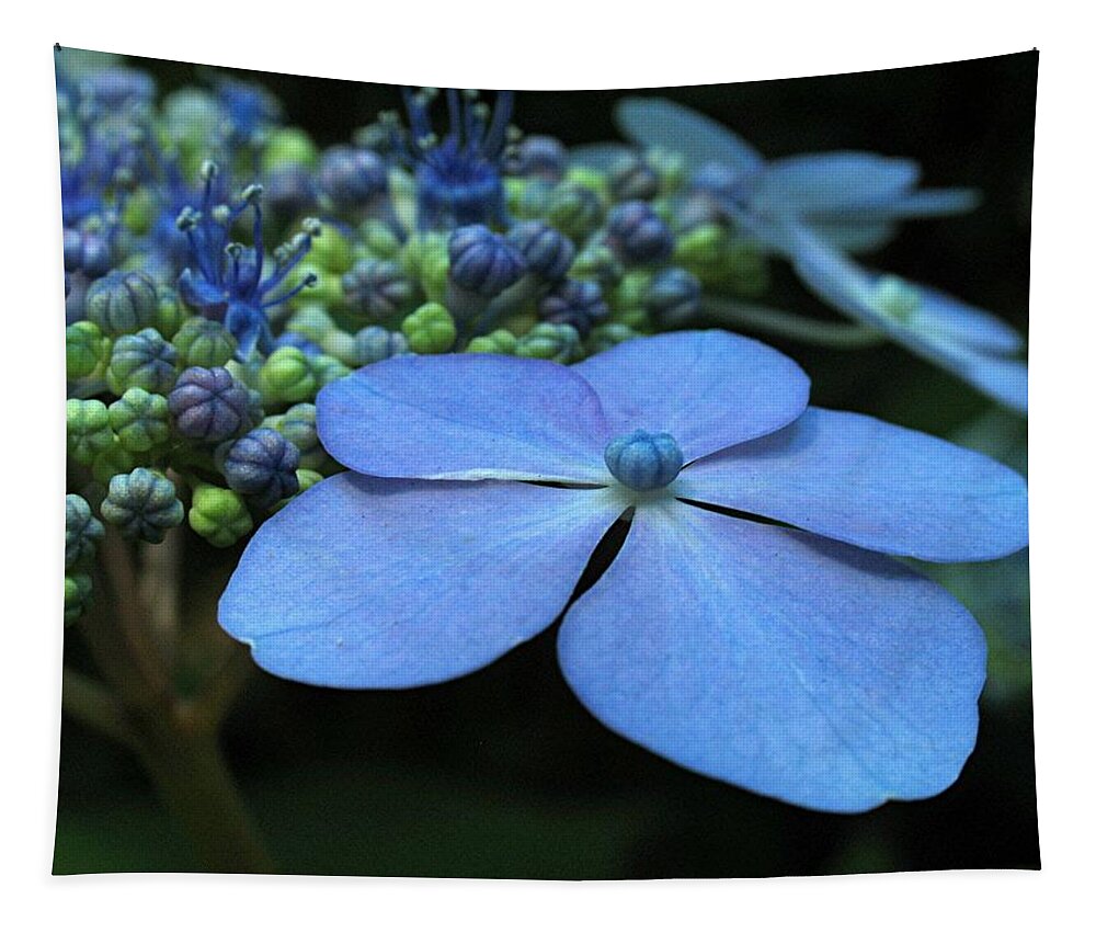 Flower Tapestry featuring the photograph Hydrangea by Juergen Roth