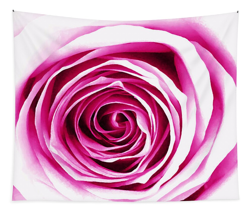 Rose Tapestry featuring the photograph Hypnotic Pink by Nathan Little