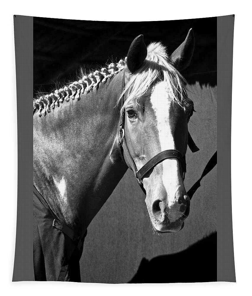 Horse Tapestry featuring the photograph I Am Ready For Prime Time by Venetia Featherstone-Witty
