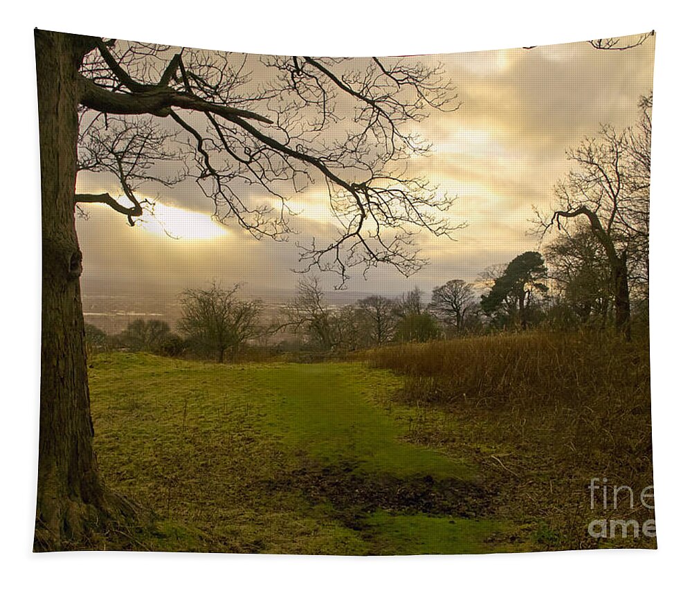 Sunset Tapestry featuring the photograph I follow the sunset. by Elena Perelman
