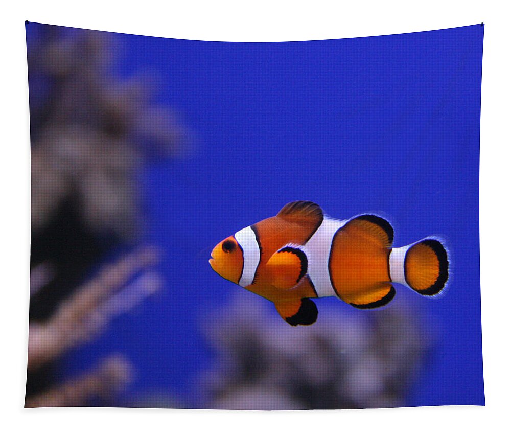 Nemo Tapestry featuring the photograph I Found Him by George Jones