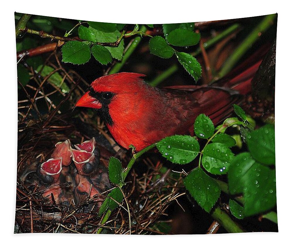 Cardinal Tapestry featuring the photograph I Have my Eye on You by Frozen in Time Fine Art Photography
