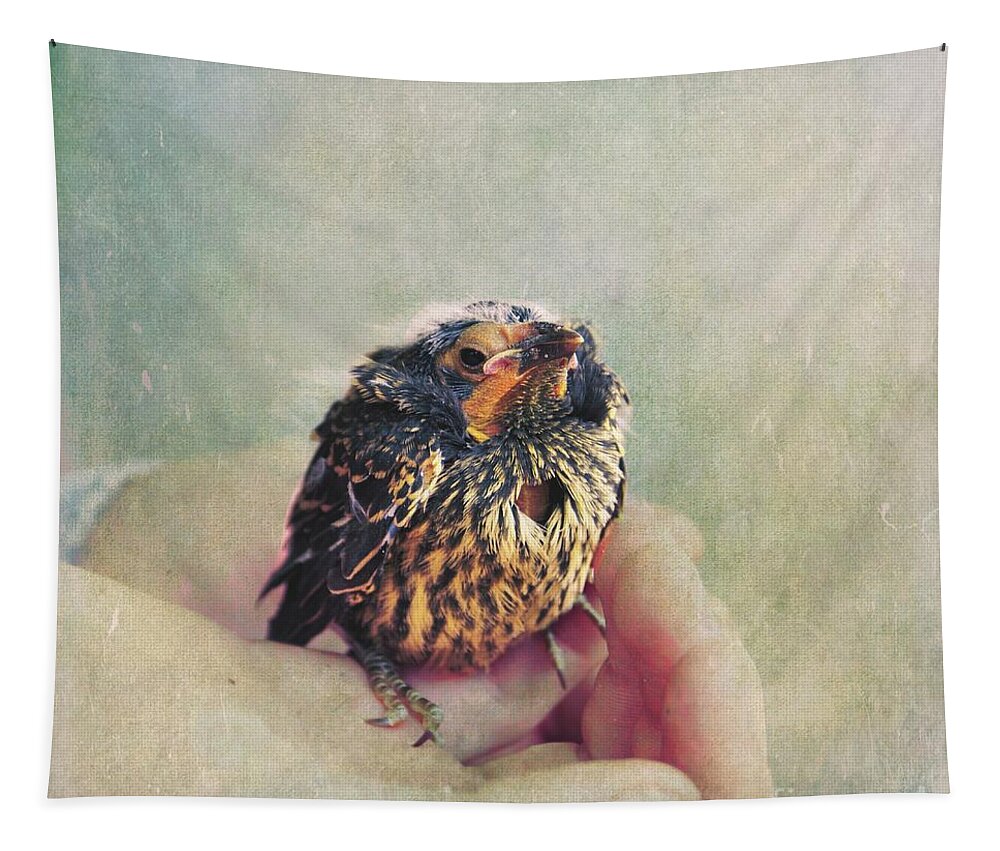 Bird Tapestry featuring the photograph I Heart You by Aimelle Ml