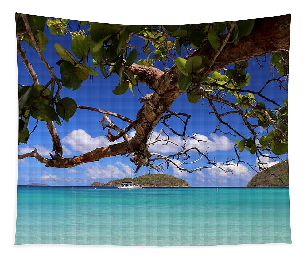 Maho Bay Tapestry featuring the photograph I Left A Piece Of My Heart Here by Fiona Kennard