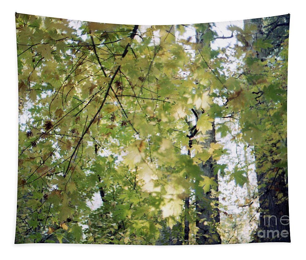 Green Tapestry featuring the photograph I Miss The Color Green by Ana V Ramirez