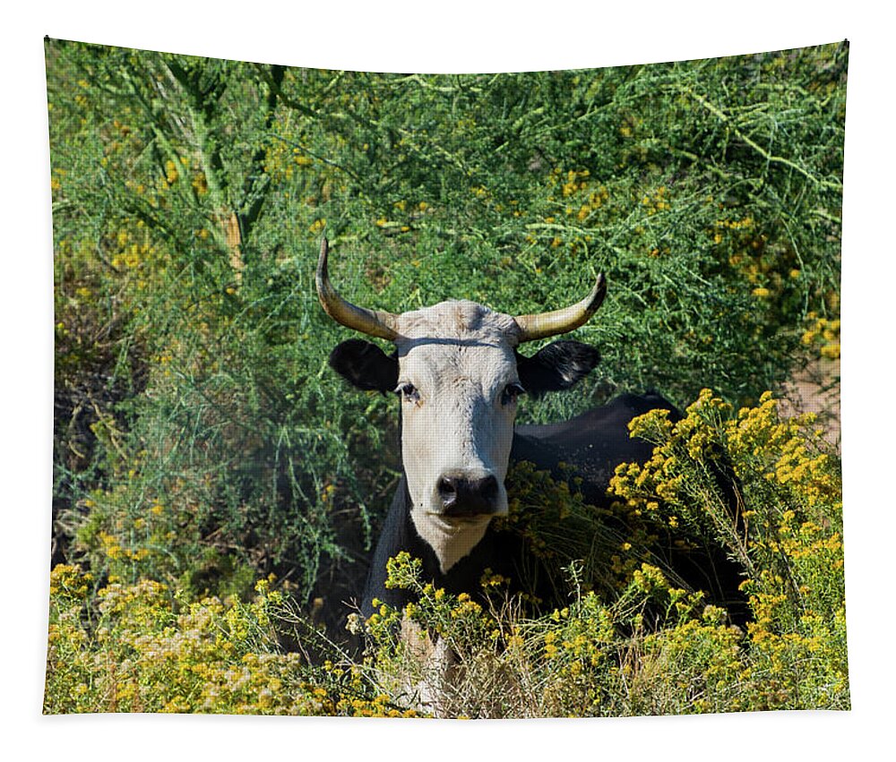 Moo Tapestry featuring the photograph I Picked These For Moo by Douglas Killourie