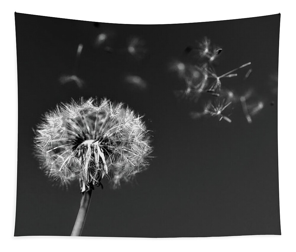 Dandelion Tapestry featuring the photograph I Wish I May I Wish I Might Love You by Scott Campbell