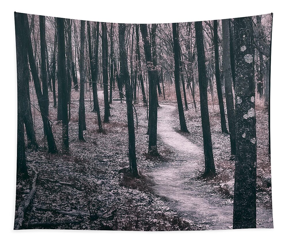 Forest Tapestry featuring the photograph Ice Age Trail Near Lapham Peak by Scott Norris