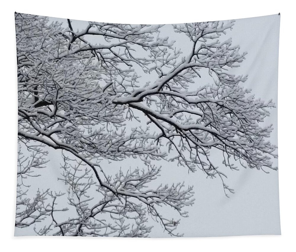 Ice Tapestry featuring the photograph Icey Winter Branch by Vic Ritchey