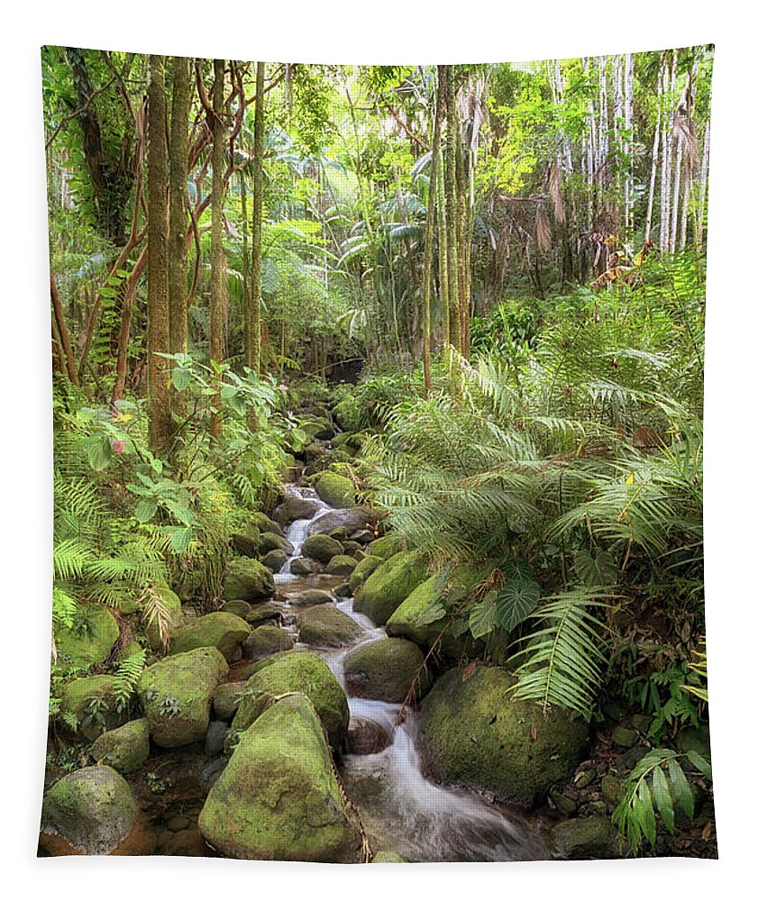 Alakahi Stream Tapestry featuring the photograph Idyllic Stream by Susan Rissi Tregoning
