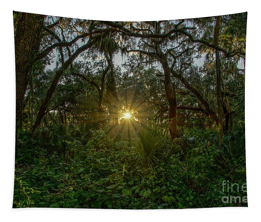 Vine Tapestry featuring the photograph Illuminated by Brian Kamprath