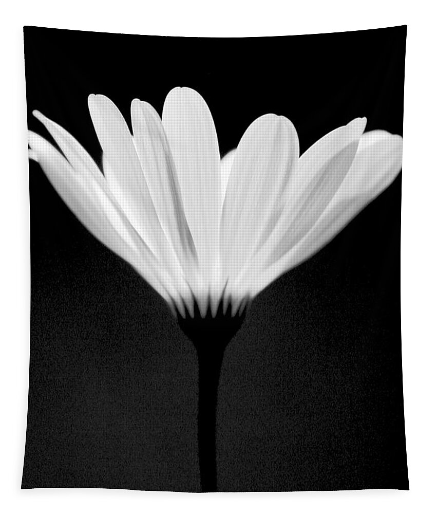 Flower Tapestry featuring the photograph Illuminated Lady by Julie Lueders 