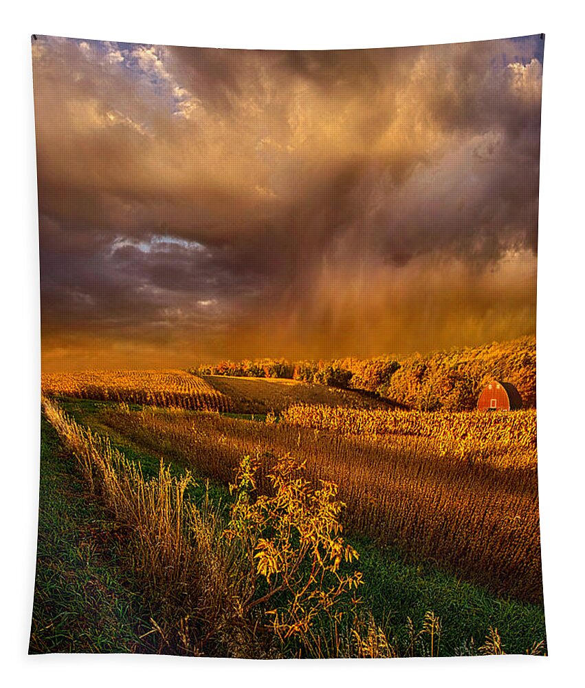 Barn Tapestry featuring the photograph I'm Living Today by Phil Koch