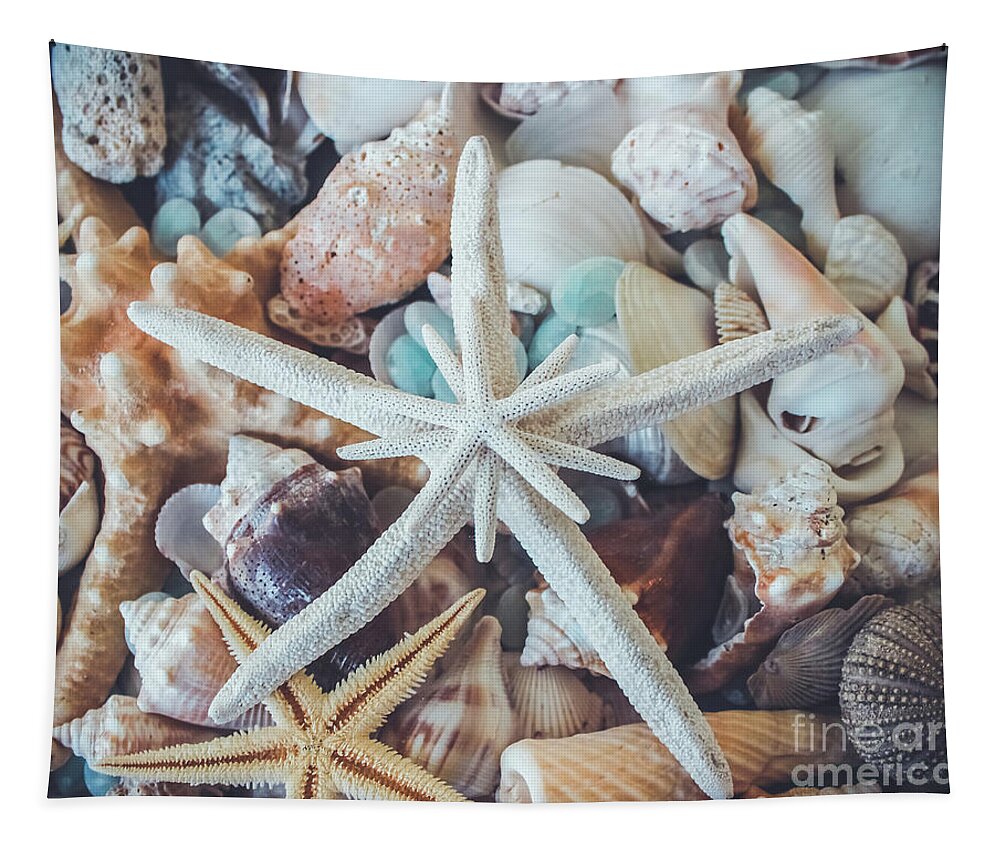 Starfish Tapestry featuring the photograph In a Sea of Shells- by Colleen Kammerer