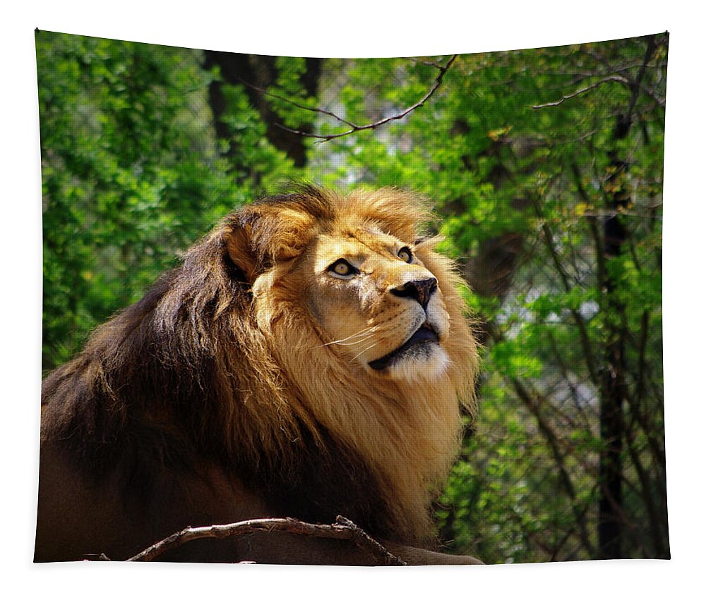 Lion Tapestry featuring the photograph In Awe of You by Linda Mishler