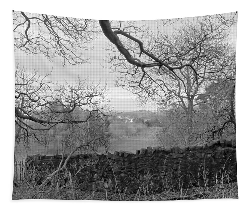 Bare Tree Tapestry featuring the photograph In December. by Elena Perelman