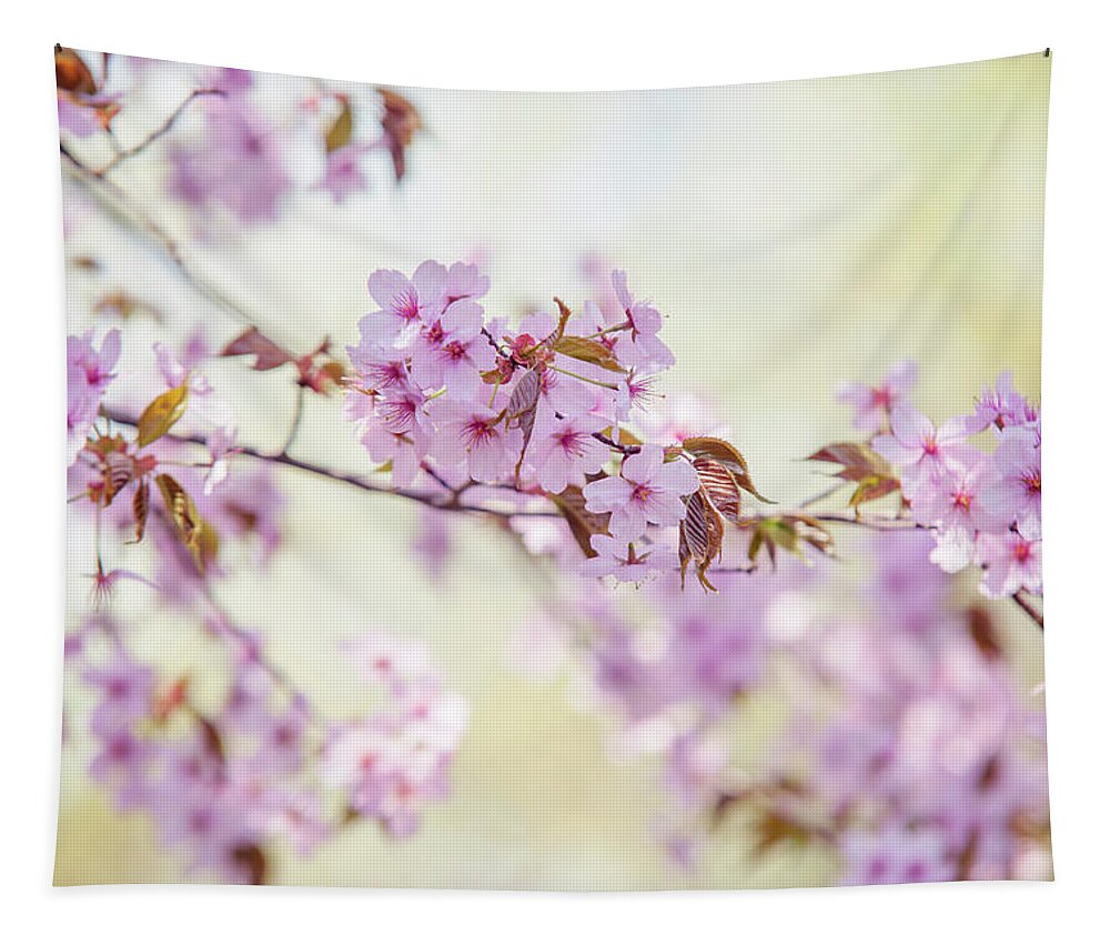 Jenny Rainbow Fine Art Photography Tapestry featuring the photograph In Tender Bloom. Spring Watercolors by Jenny Rainbow