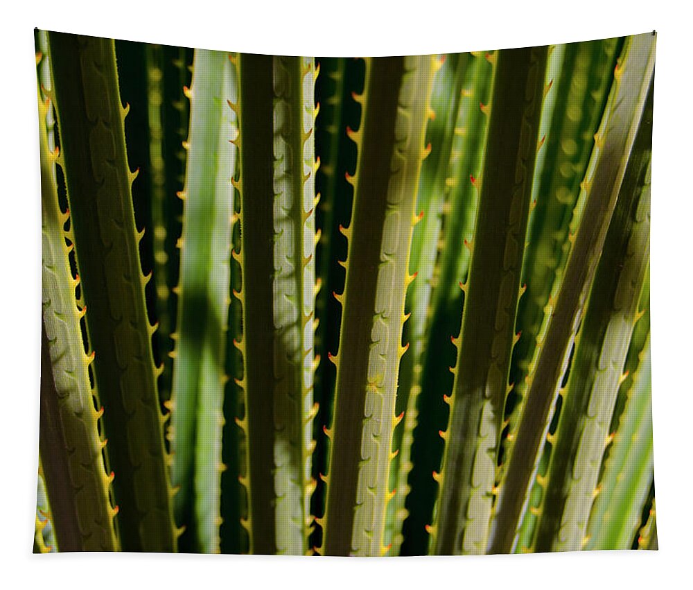 Abstract Tapestry featuring the photograph In the Cactaceae Weeds by Matt Cegelis